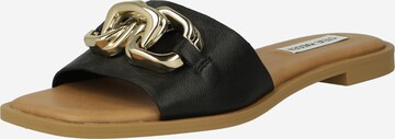 STEVE MADDEN Mules 'GENE' in Black: front