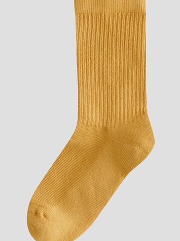 Chaussettes Next en mélange de couleurs