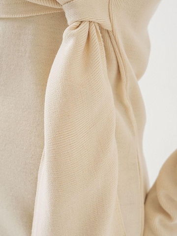 Bigdart Jurk in Beige