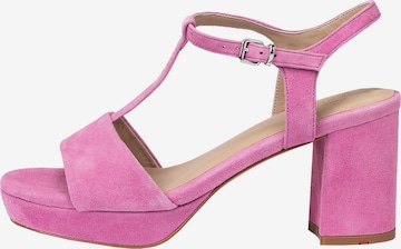 LLOYD Strap Sandals in Pink: front