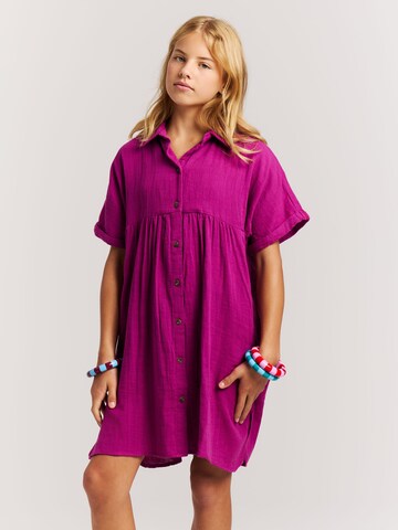 PROTEST Dress 'PRTHalaki JR' in Pink