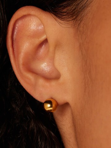 Boucles d'oreilles Lucardi en or : devant