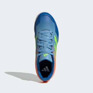ADIDAS PERFORMANCE Sportschuh 'Youngstar Rise' in Blau