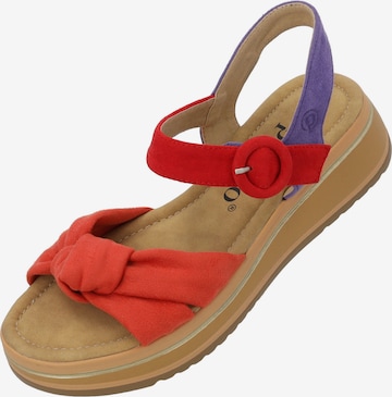 Sandales à lanières 'Ebelli' Palado en rouge : devant