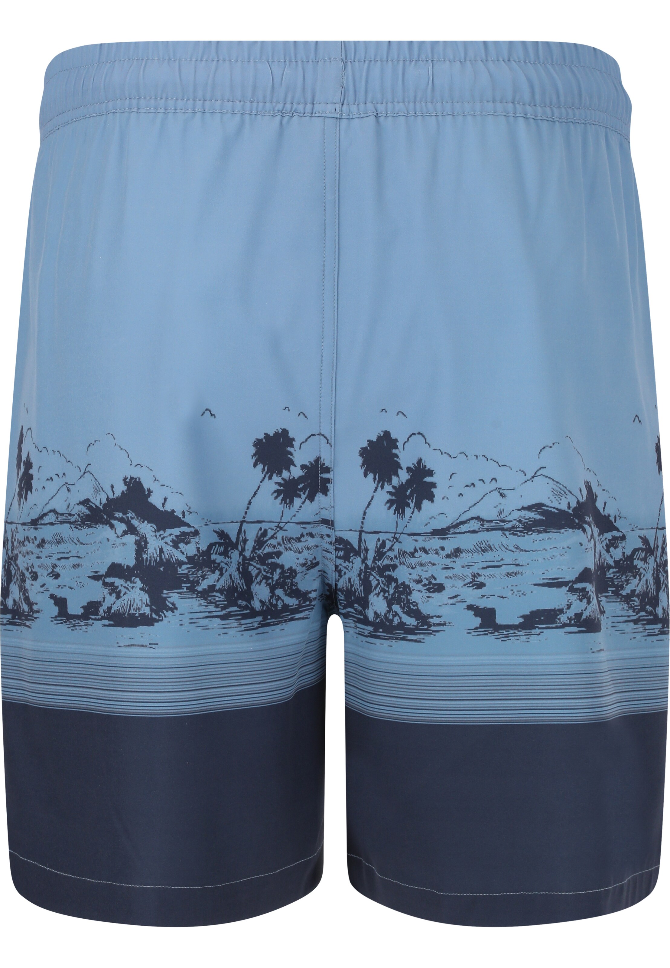 Cruz Board shorts 'Hector' in Blue