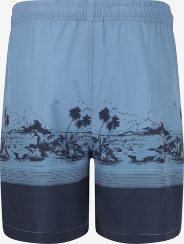 Cruz Boardshorts 'Hector' in Blau