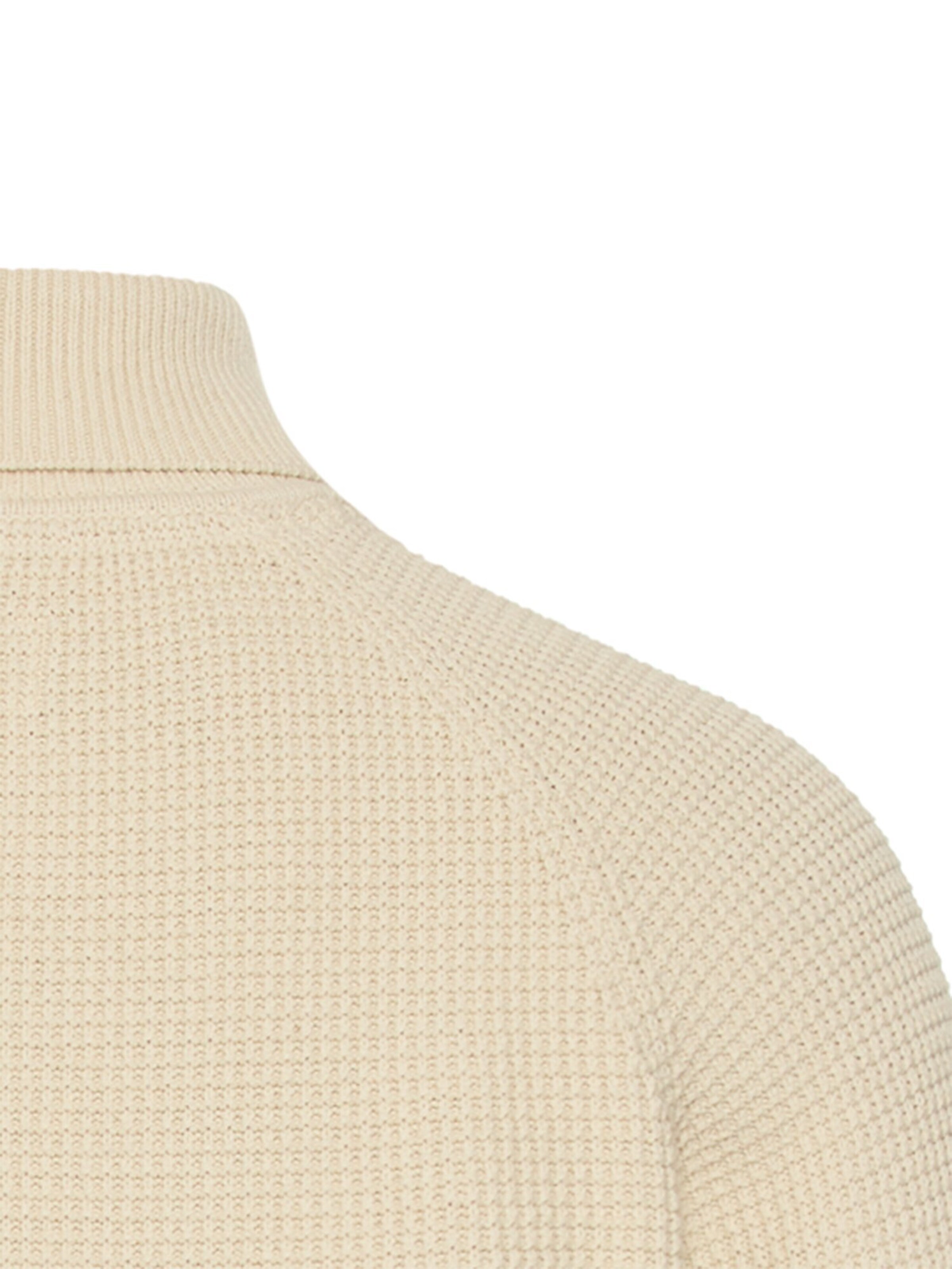 CAMEL ACTIVE Pullover in Beige