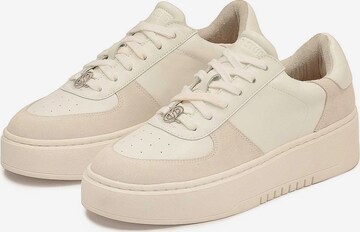 Kazar Studio Sneaker in Beige