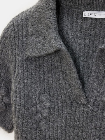 Dilvin Pullover 'Pullover'‌‌‌‌ in Grau