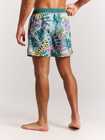 PROTEST Board Shorts 'PRTRayger' in Purple