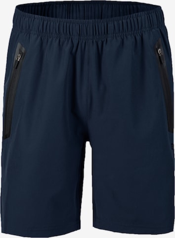 LPO Regular Pants in Blue: front