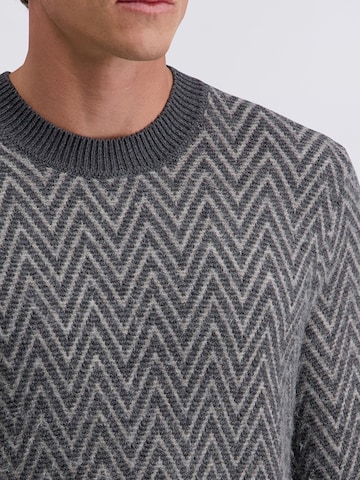 PIERRE CARDIN Trui in Grijs