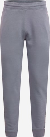 Champion Authentic Athletic Apparel Hose in Grau: predná strana