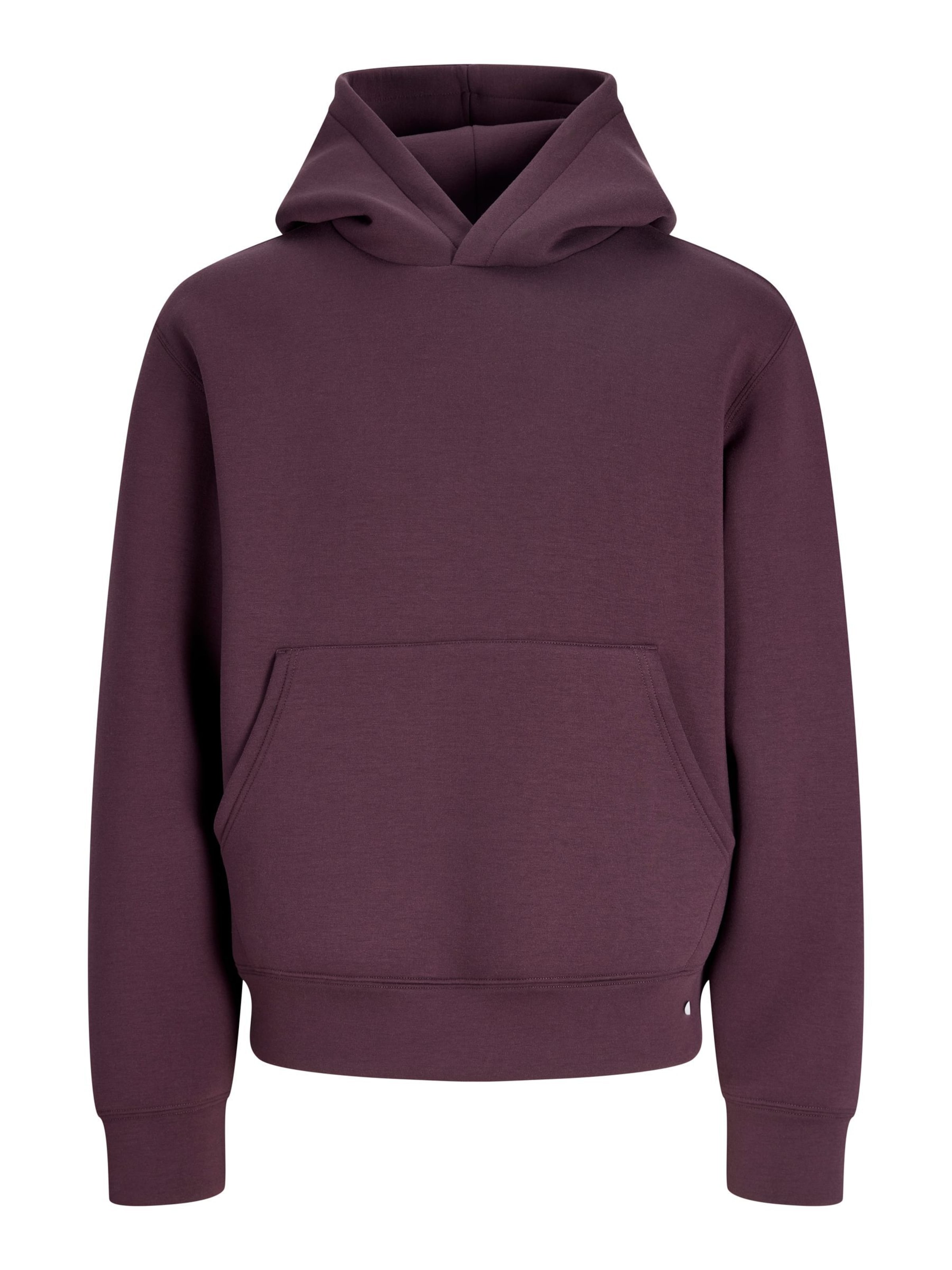 JACK & JONES Sweatshirt 'JCOLEGACY' in Purple: front