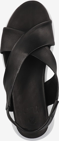 ILC Strap Sandals in Black