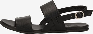 ILC Sandals in Black