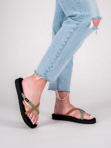 TEVA T-Bar Sandals 'Olowahu' in Mixed colors: front