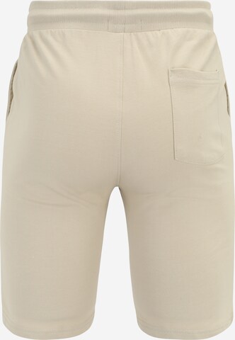 Only & Sons Regular Pants 'Neil' in Beige