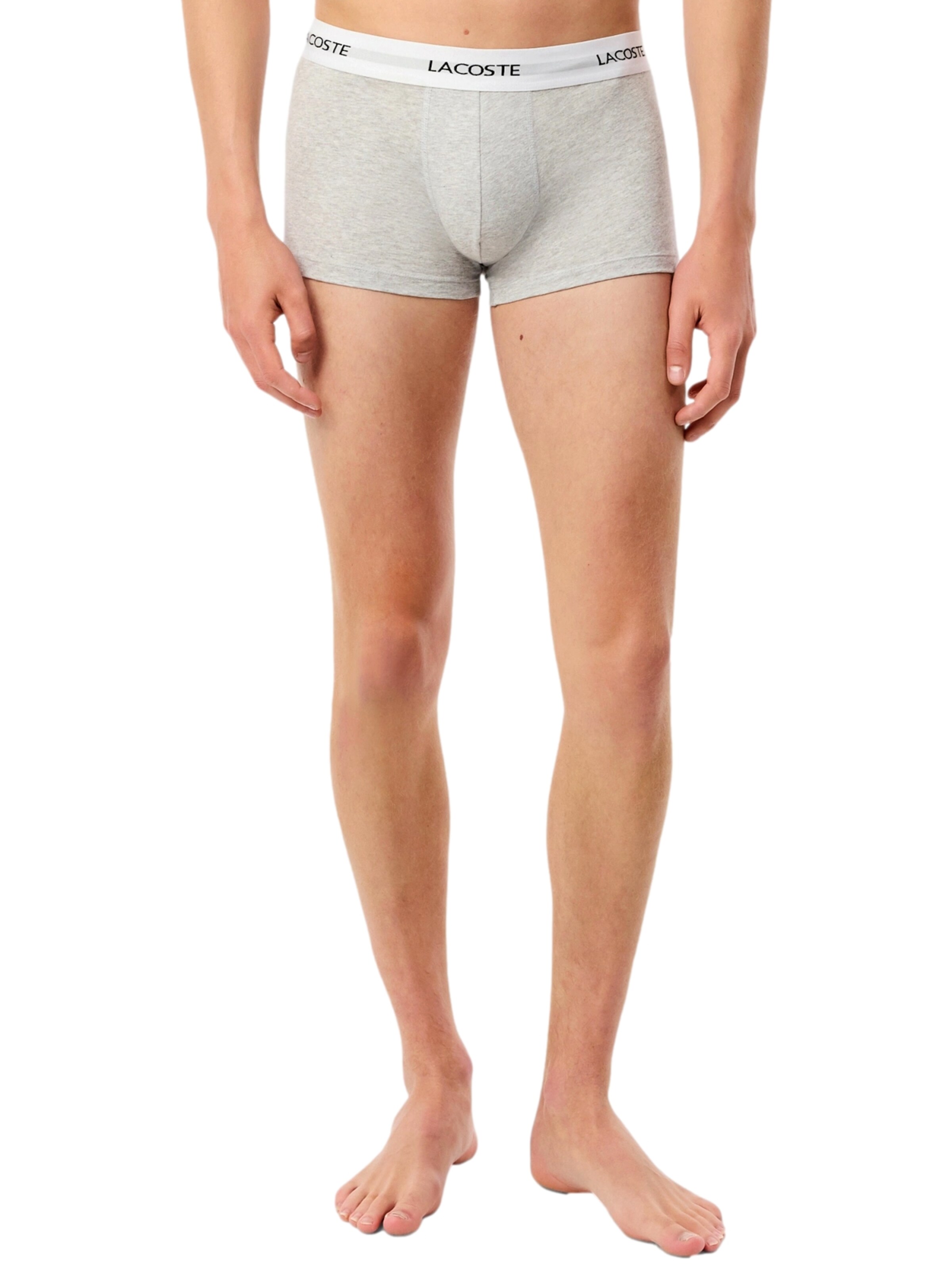 LACOSTE Boxer shorts in Mixed colours