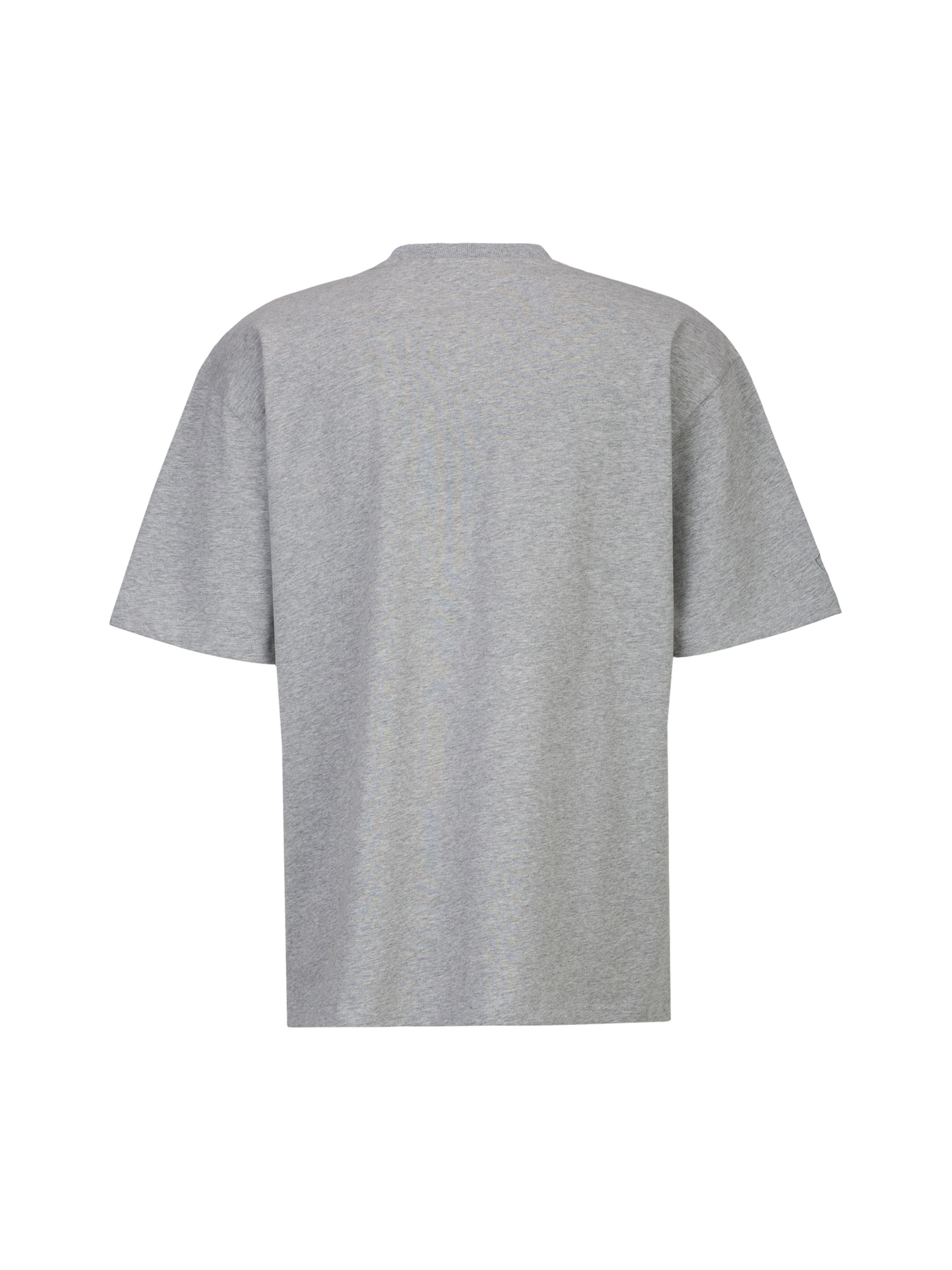 19V69 ITALIA - Camiseta 'Tamaro College' en gris