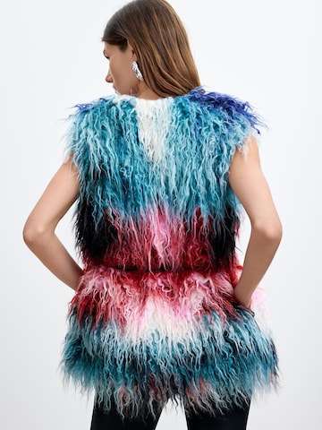 Desigual Vest 'Lacroix', värv segavärvid