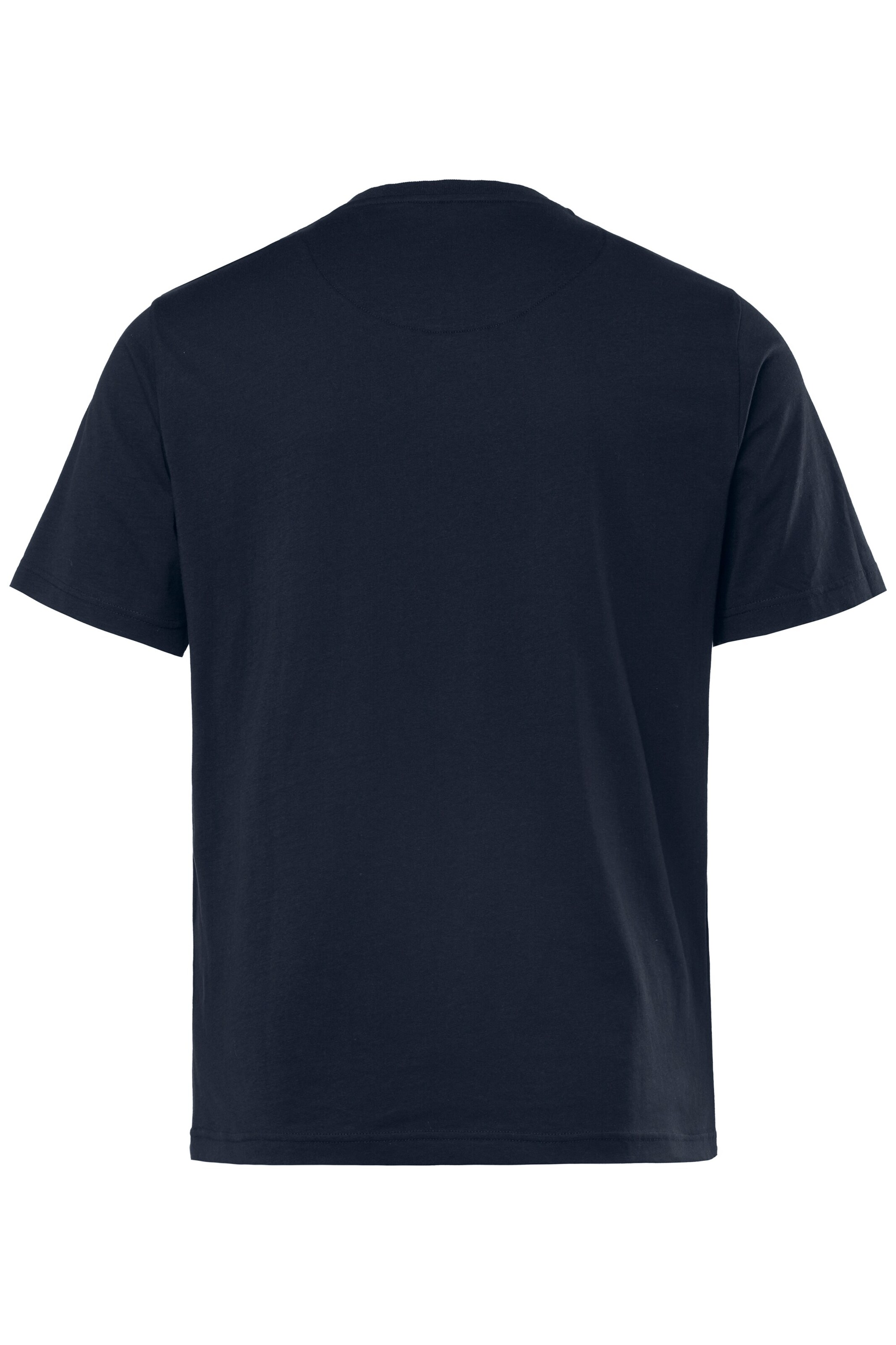 Men Plus Shirt in Blue