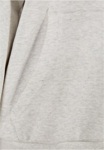 Felpa di Urban Classics in grigio