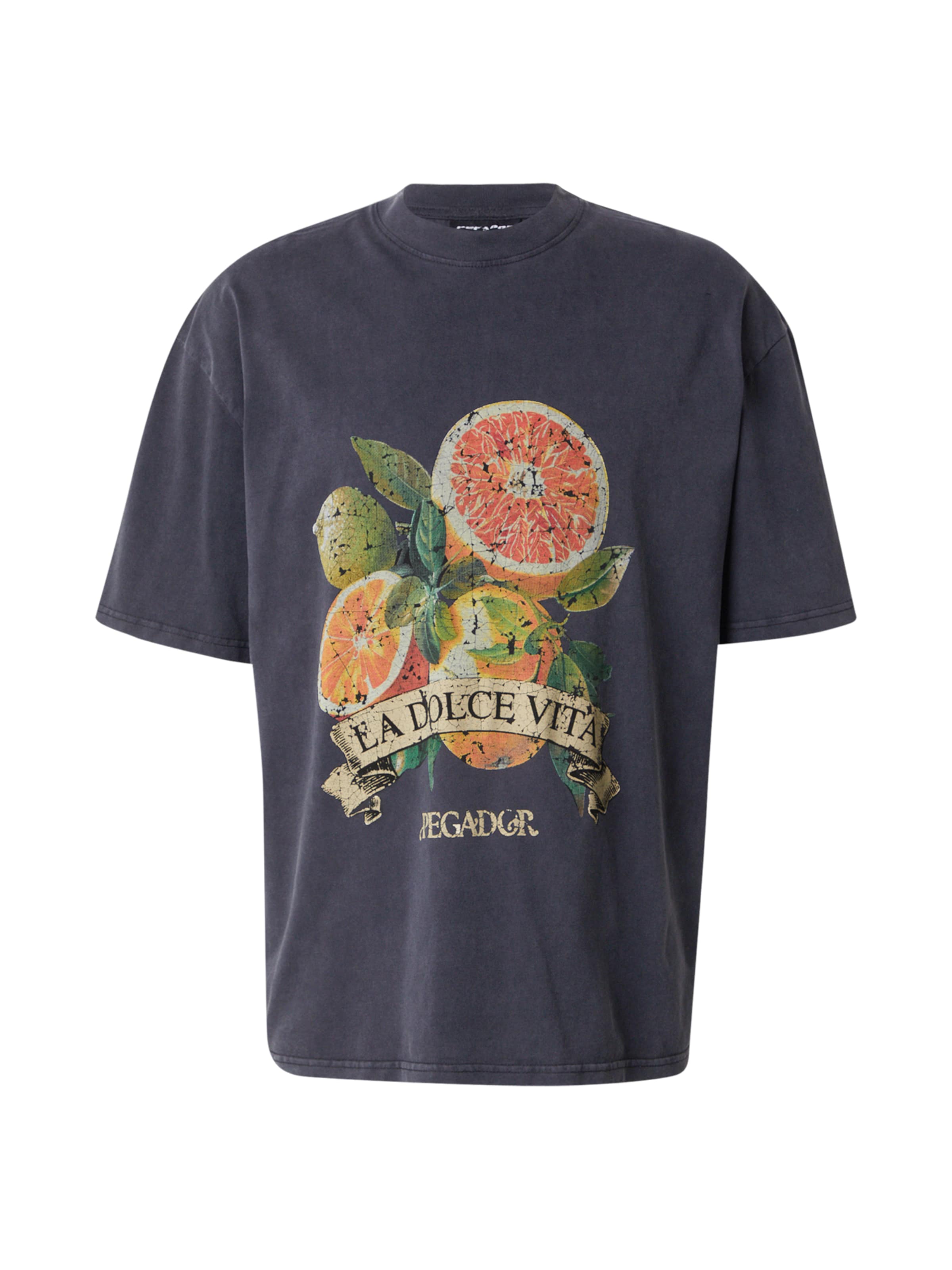 Pegador Тениска 'HULE' в черно: отпред