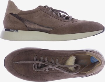 SIOUX Sneakers & Trainers in 39 in Brown: front