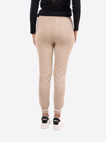 regular Pantaloni sportivi di Yes Zee in marrone