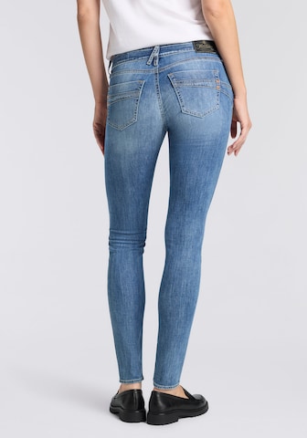Herrlicher Flared Jeans in Blau