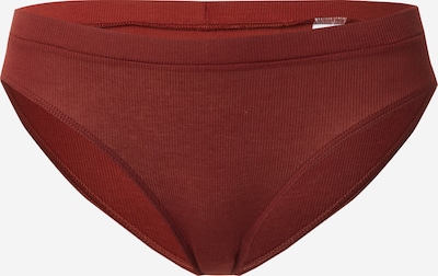 SCHIESSER Panty in Rusty red, Item view