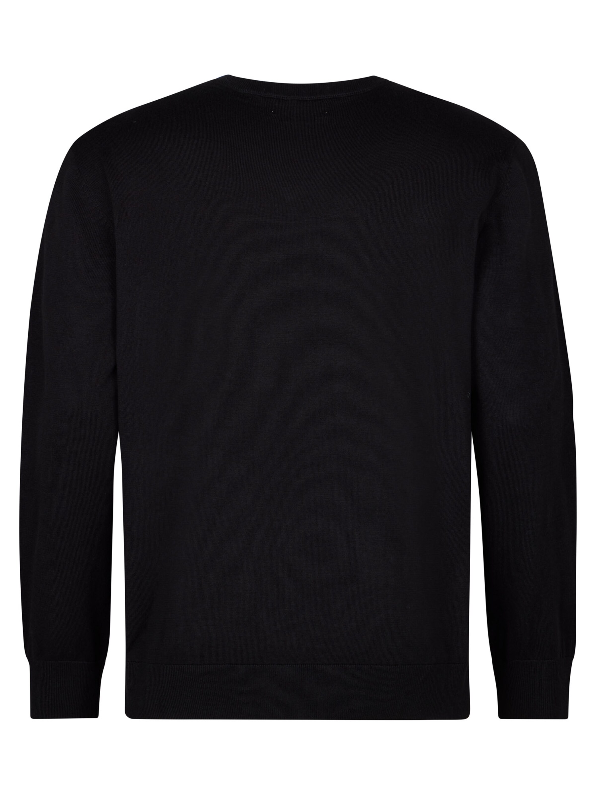Petrol Industries Sweater in Black