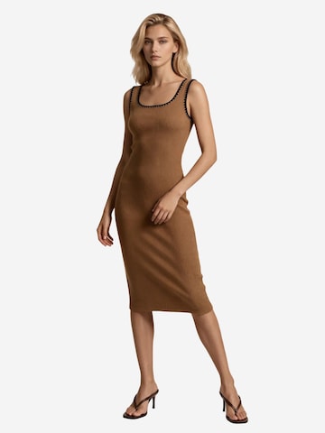MSN Collection Obleka | rjava barva