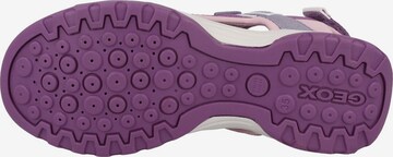 GEOX Sandals ' J Borealis G. A ' in Purple