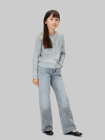 Calvin Klein JeansKardigan - siva boja