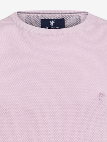 DENIM CULTURE Pullover 'CLETO' in Pink