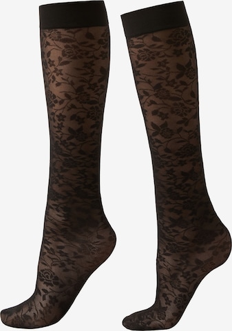 CALZEDONIA Knee High Socks in Black: front