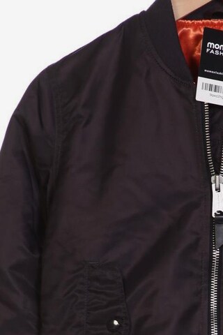 Schott NYC Jacket & Coat in S in Grey