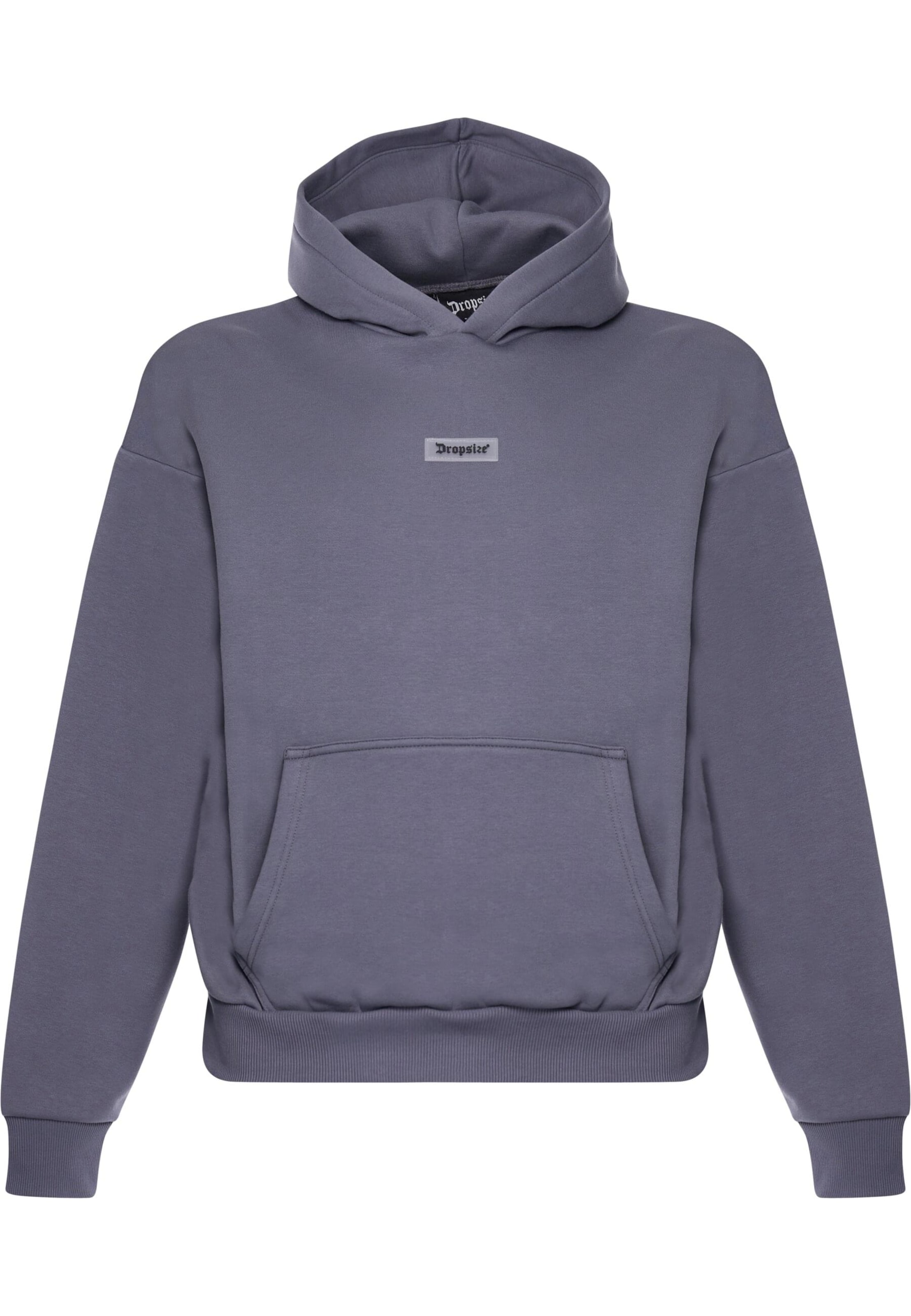 Dropsize Sweatshirt in Grey: front