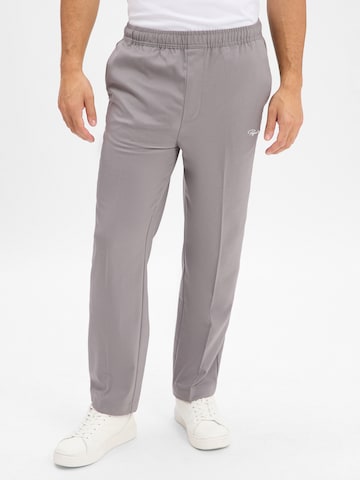 Regular Pantalon à plis 'Darren' Pegador en gris : devant