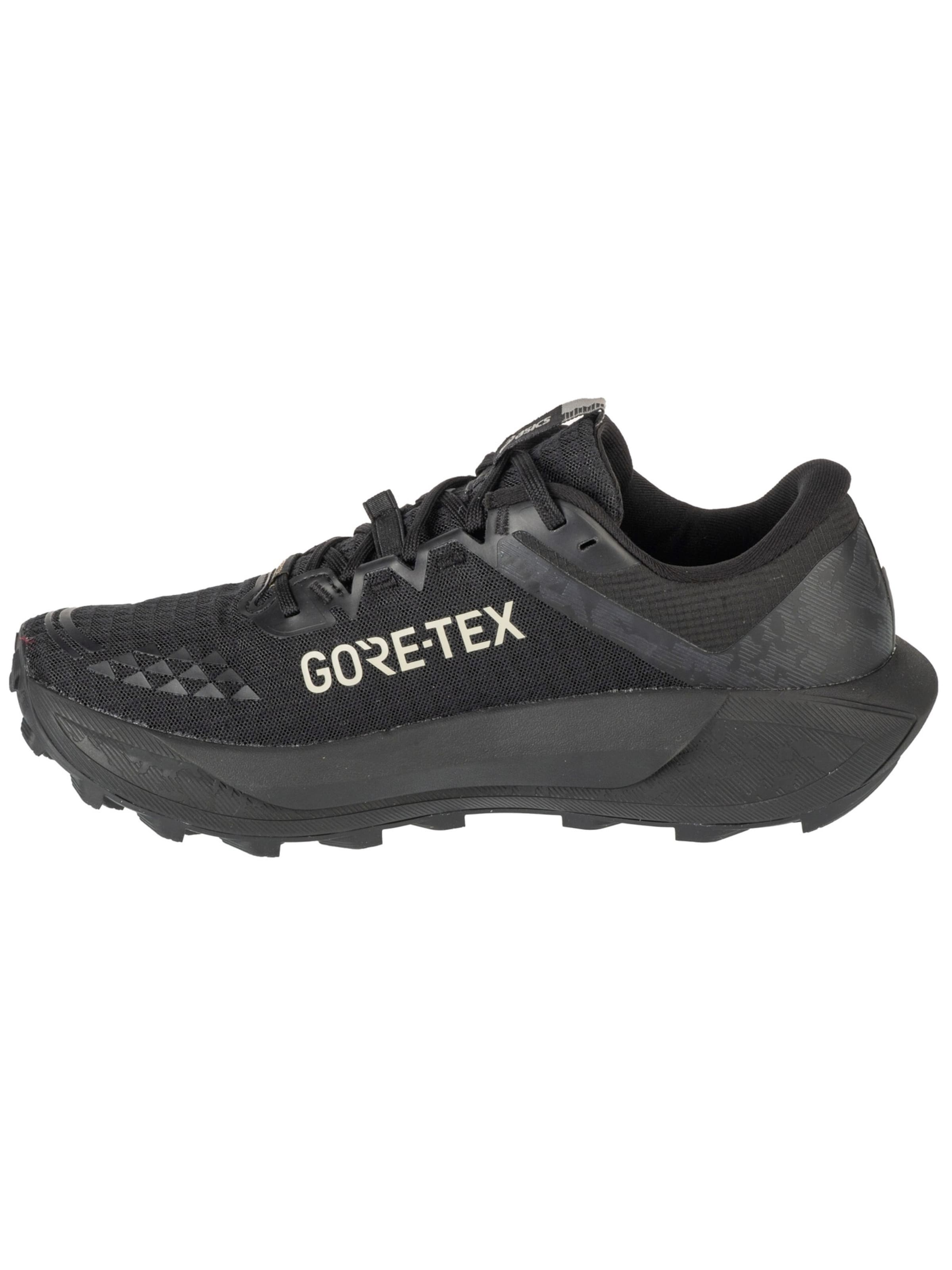 ASICS Laufschuh 'Gel-Trabuco 13 GTX'‌‌‌‌‌‌‌‌‌ in Schwarz