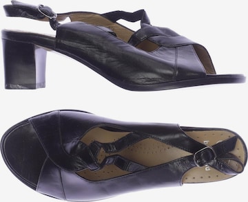 SCHOLL Sandalen 38 in Schwarz: predná strana