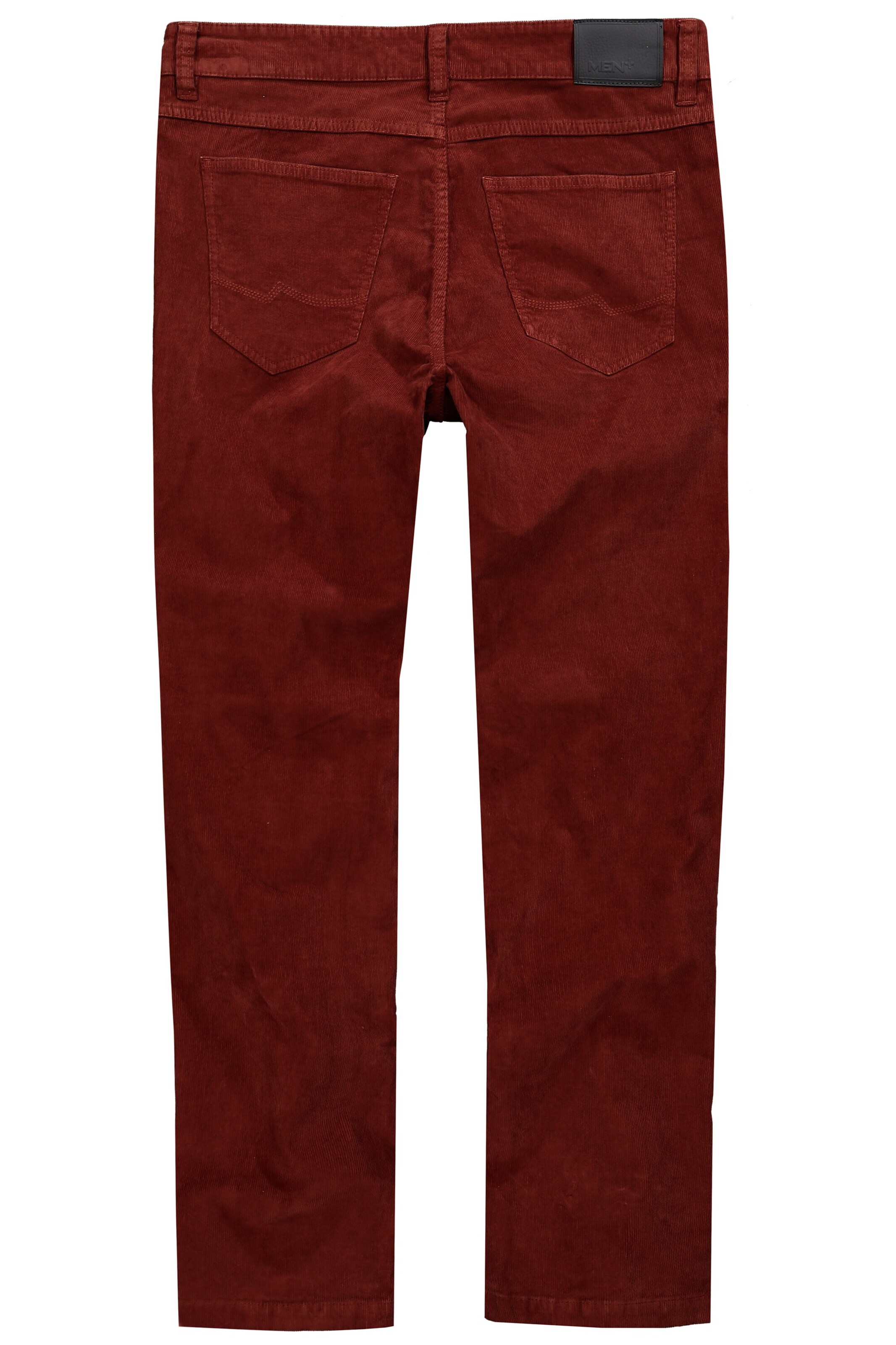 Men Plus Regular Pants in Brown