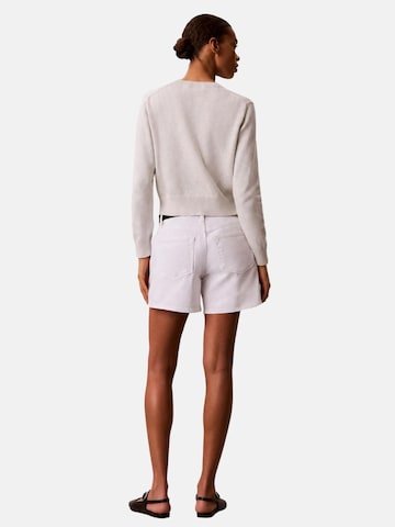 Calvin Klein Trui in Grijs
