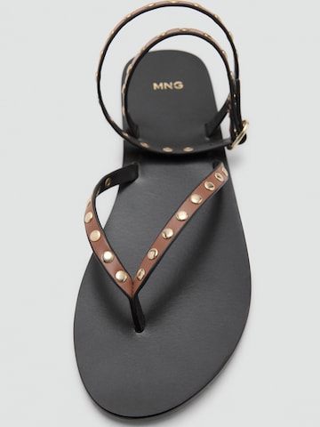 MANGO Japonke 'SANDRA1' | rjava barva