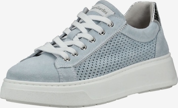 Sneaker bassa di Nero Giardini in blu: frontale