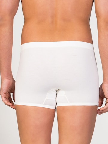 zd ZERO DEFECTS Boxer shorts 'Apolo Soya Trunk' in White