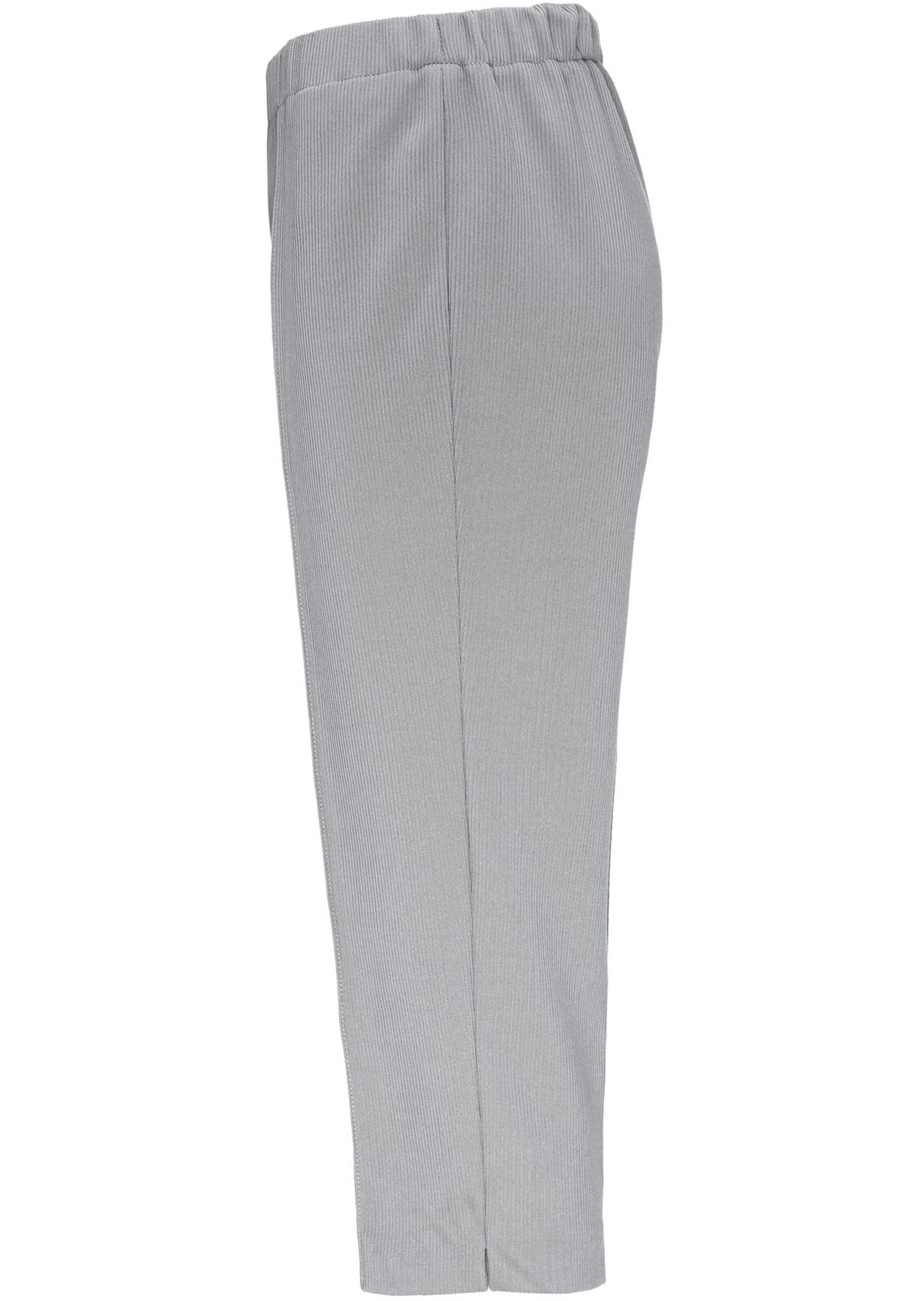 Goldner Regular Broek in Grijs