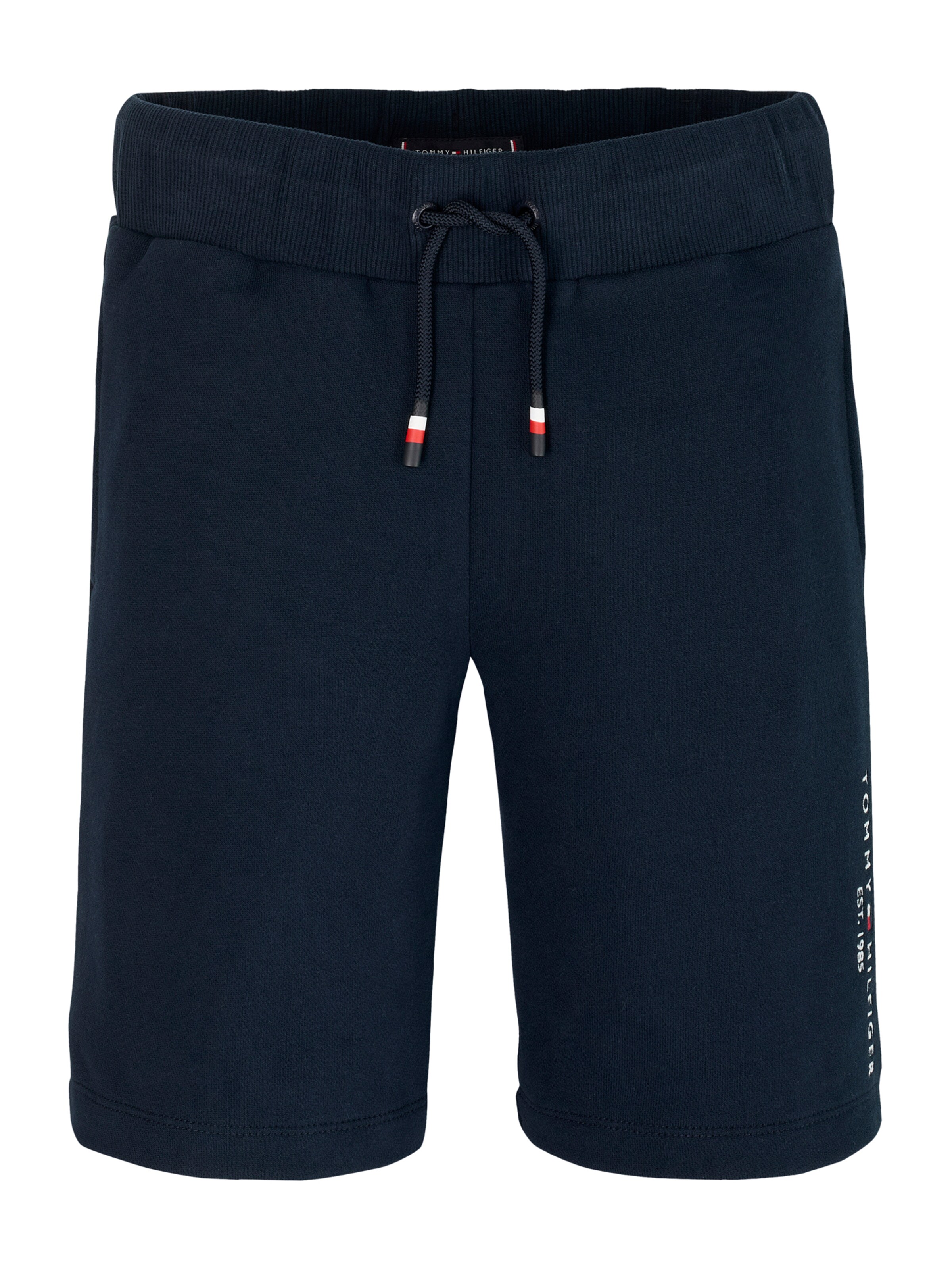 TOMMY HILFIGER Regularen Hlače | modra barva: sprednja stran